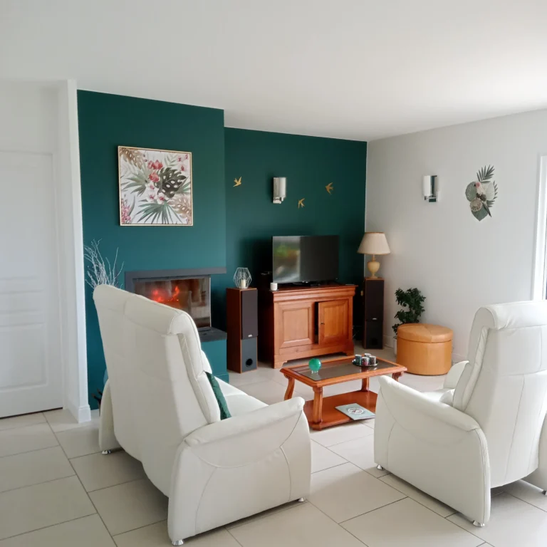 Peinture velour (Salon)