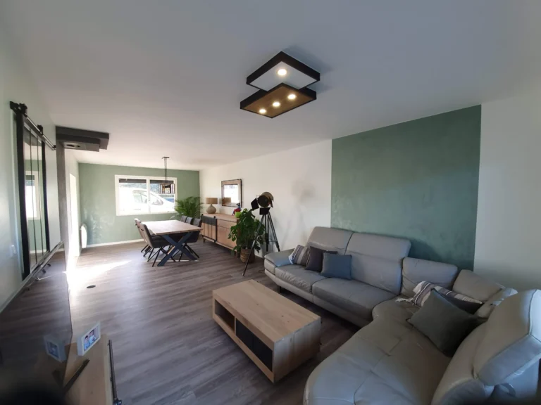 Peinture velour peinture lucé et création plafonnier (Séjour)