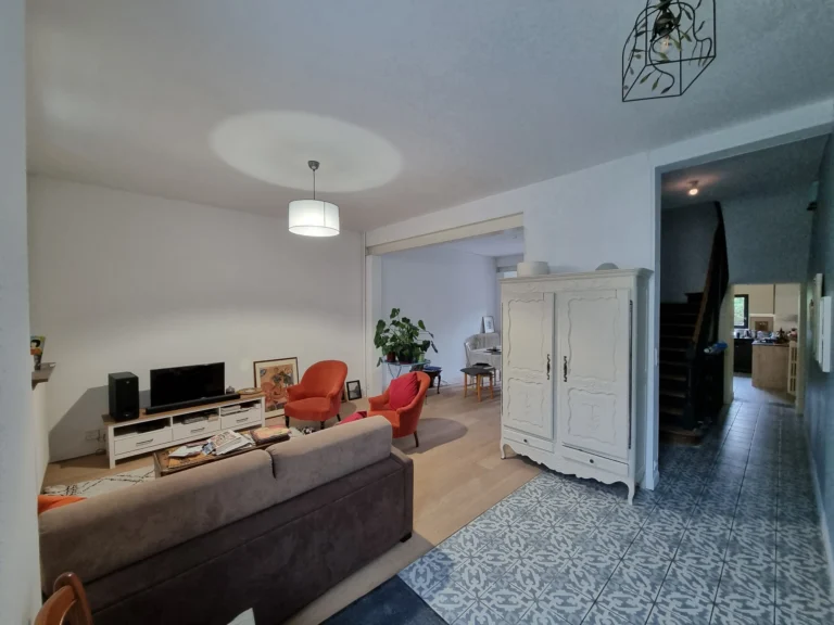 Voile de rénovation + peinture velours (Salon)